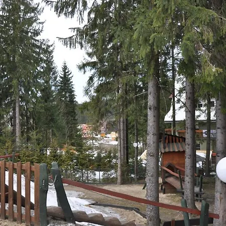 Msc Relax * Zakopane