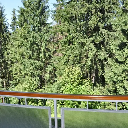 Msc Relax * Zakopane