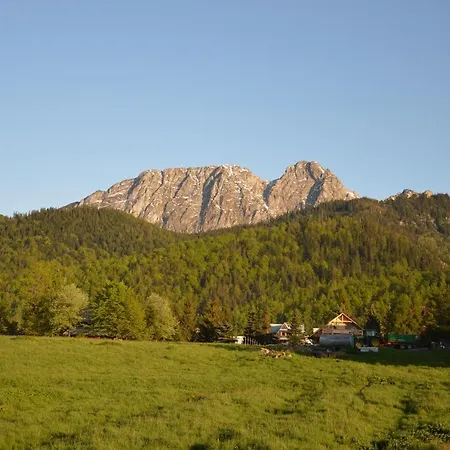 Msc Relax Zakopane